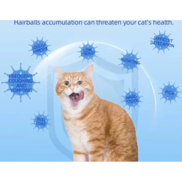Dr. Vet Hairball Relief Tablets for Cats (180 Tablets) Cat Grass ... - Best Cat Hairball Medicines For Adults